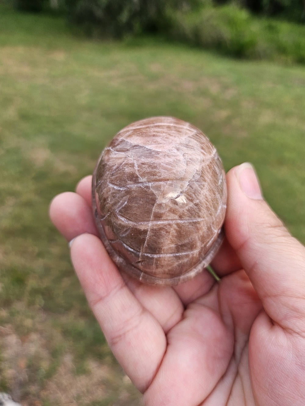 Peach Moonstone Turtle Shell